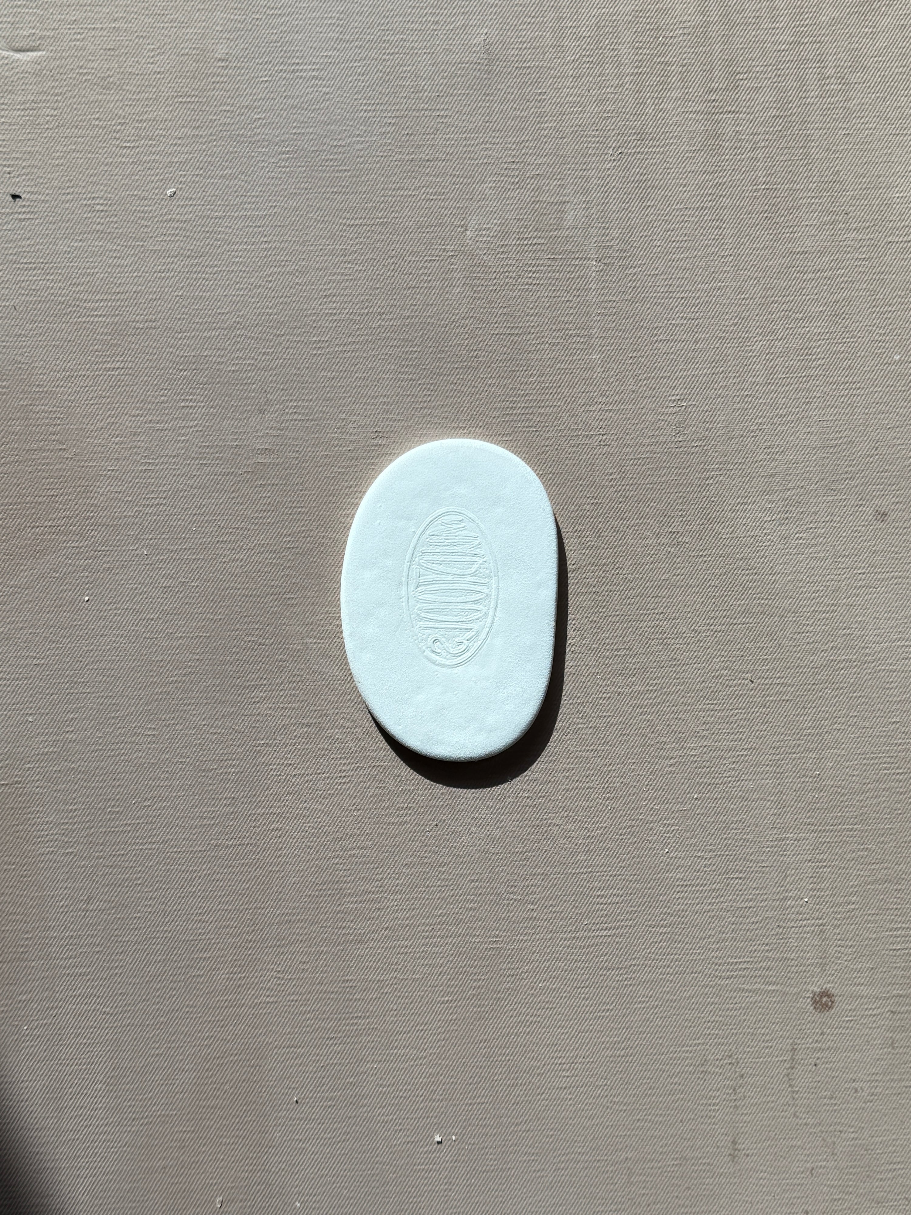 MUDTOOLS | White Finishing Mud Sponge