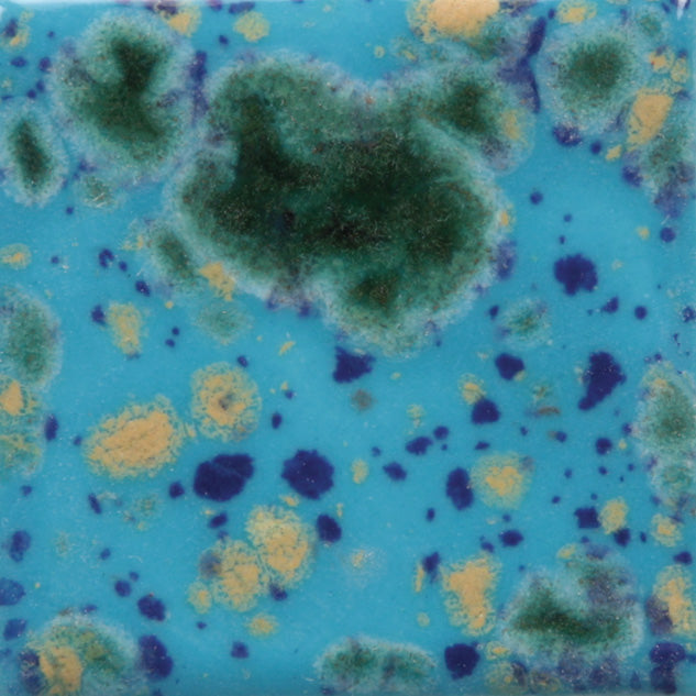 MAYCO | CG-718 Blue Caprice Jungle Gems | Pint