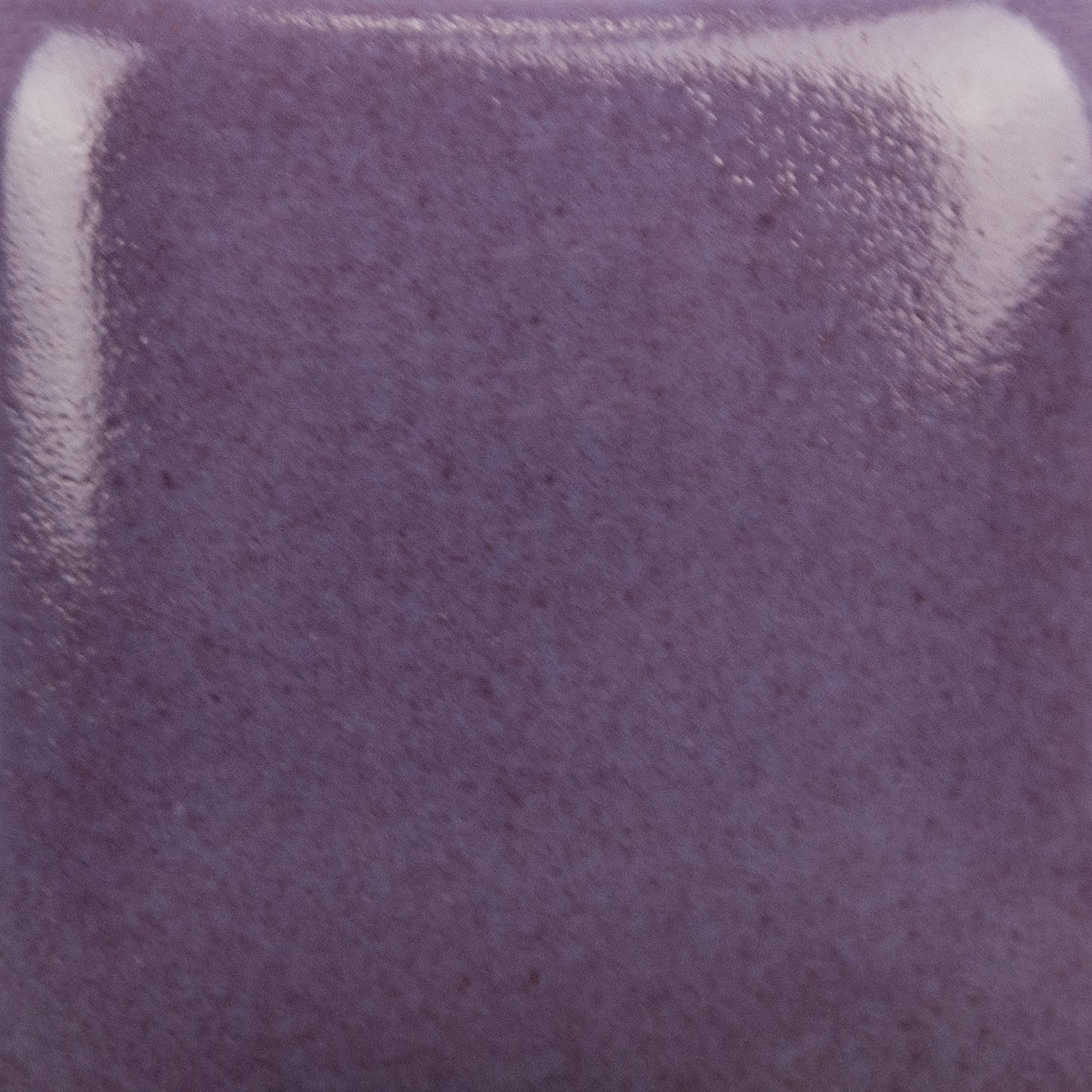 MAYCO | SC-040 Blueberry Hill Stroke & Coat   | Pint