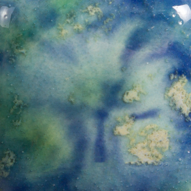 MAYCO | CG-718 Blue Caprice Jungle Gems | Pint