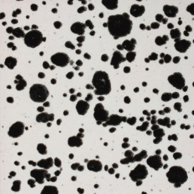 MAYCO | CG-977 Ink Spots Jungle Gems | Pint