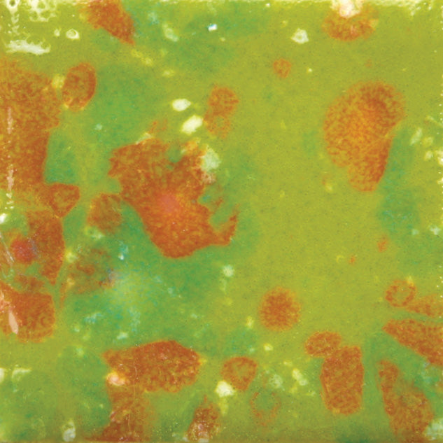 MAYCO | CG-987 Tree Frog Jungle Gems | Pint